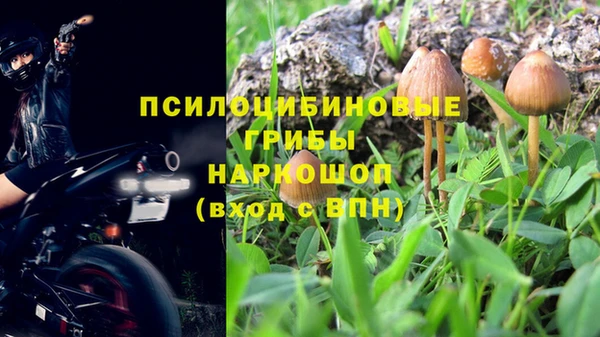 mdpv Алексин