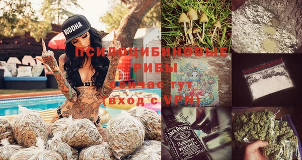 твердый Алзамай