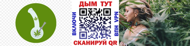 Шишки марихуана VHQ  даркнет сайт  мега как войти  Камызяк 